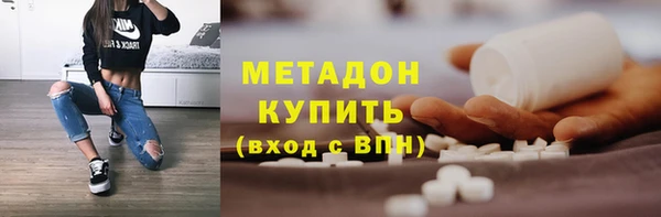 индика Няндома