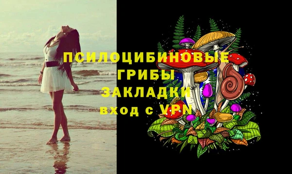гидра Протвино