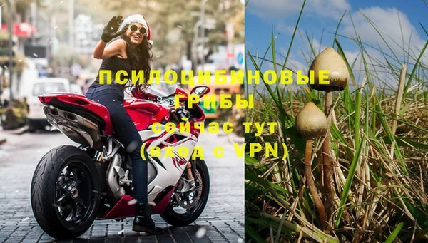 дживик Приозерск
