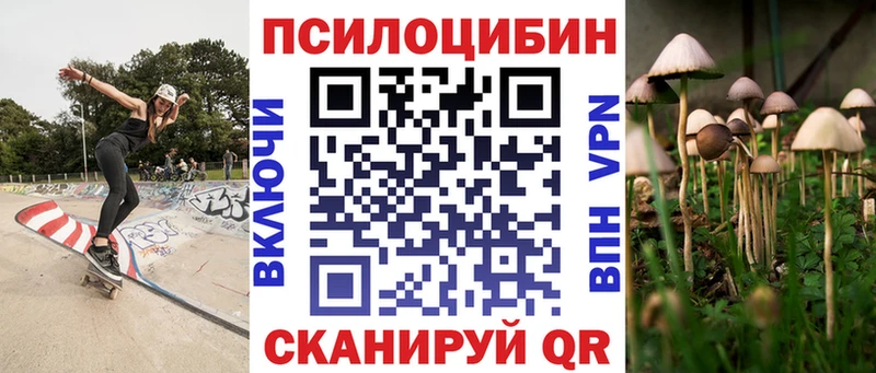 где продают наркотики  Свободный  Псилоцибиновые грибы Psilocybe 