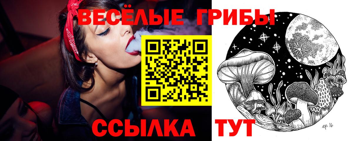 Галлюциногенные грибы мицелий  Вход с VPN  Свободный  Псилоцибиновые грибы MAGIC MUSHROOMS 